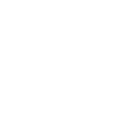 PLUR